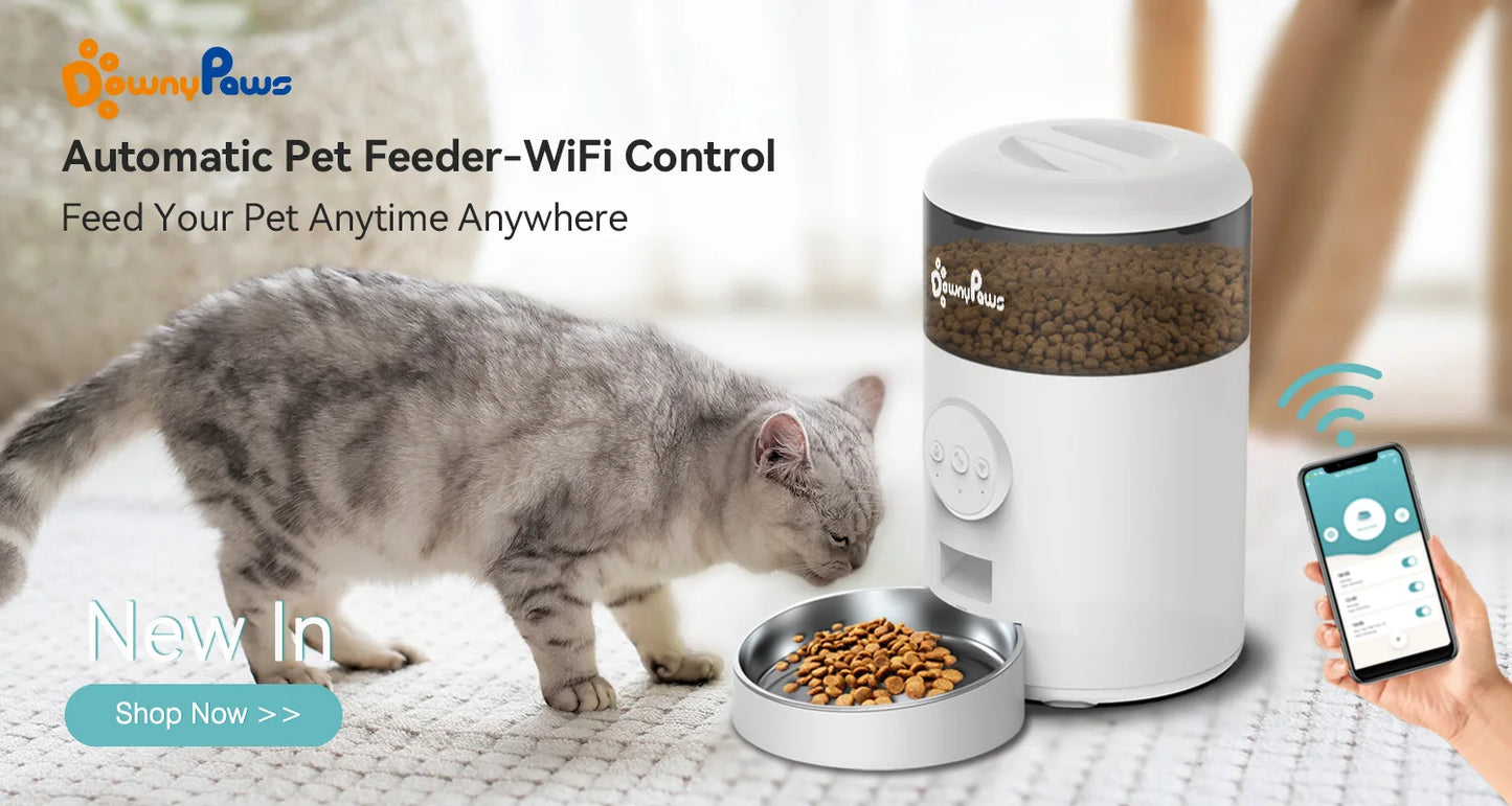 4/6L Automatic Pet Feeder For Cats WiFi Smart Swirl Slow Dog Feeder With Voice Recorder Large Capacity Timing Cat Food Dispenser