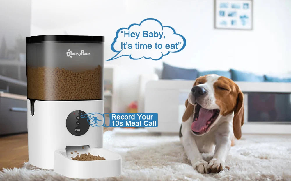 4/6L Automatic Pet Feeder For Cats WiFi Smart Swirl Slow Dog Feeder With Voice Recorder Large Capacity Timing Cat Food Dispenser